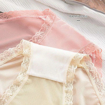 Luxury Lace & Silk Seamless Women's Breathable Briefs - Soft Mesh Panties for Ultimate Comfort - Très Elite