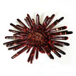 21-25CM