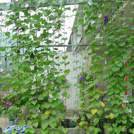 Nylon Garden Climbing Net: Support for Vegetables and Vines to Boost Growth..