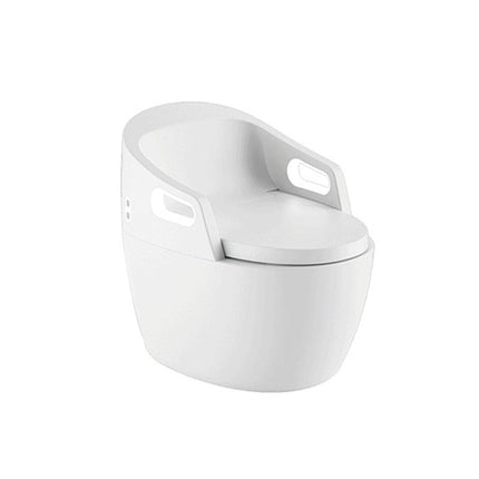 AliKopy Fully Automatic Smart Toilet | Sterilization & Automatic Flush