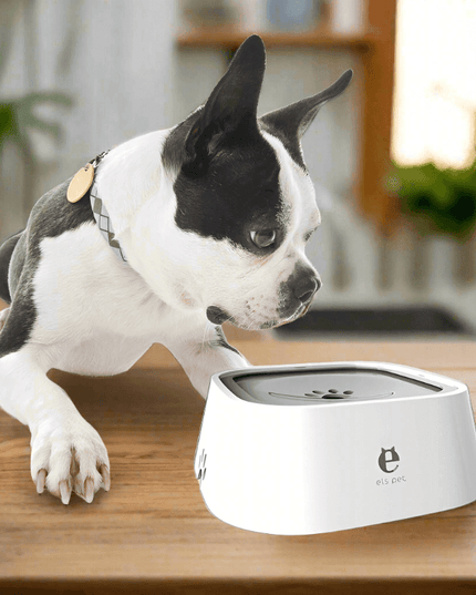 Artisanal Ceramic Pet Bowl with Stylish Decorative Print