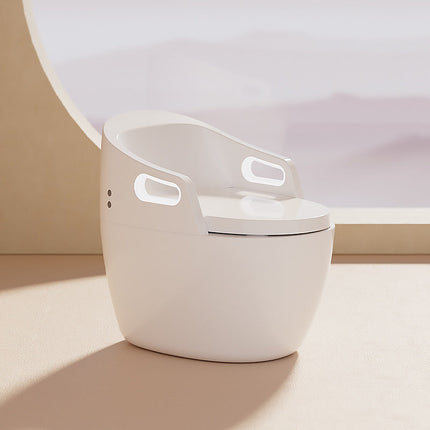 AliKopy Fully Automatic Smart Toilet | Sterilization & Automatic Flush