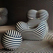 Black and white stripes