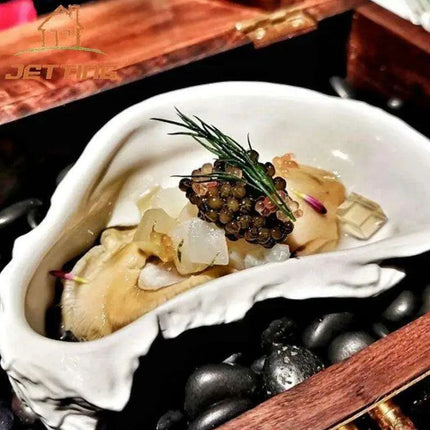 Oyster Shell Elegance: Premium Ceramic Dinnerware Set for Timeless Dining and Décor - Très Elite