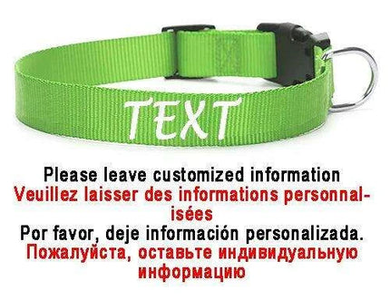 Personalized Nylon Dog ID Collar – Custom Name & Contact Info for Every Dog Breed - Très Elite
