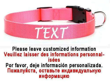 Personalized Nylon Dog ID Collar – Custom Name & Contact Info for Every Dog Breed - Très Elite