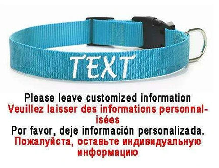Personalized Nylon Dog ID Collar – Custom Name & Contact Info for Every Dog Breed - Très Elite