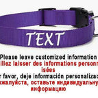 Purple-White