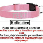 Pink-Reflective