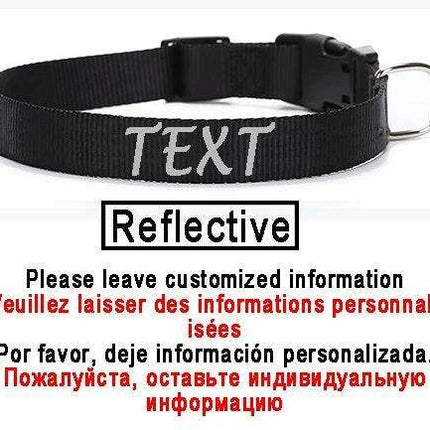 Personalized Nylon Dog ID Collar – Custom Name & Contact Info for Every Dog Breed - Très Elite