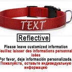 Red-Reflective