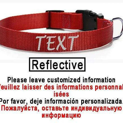 Personalized Nylon Dog ID Collar – Custom Name & Contact Info for Every Dog Breed - Très Elite