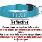 Blue-Reflective