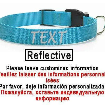 Personalized Nylon Dog ID Collar – Custom Name & Contact Info for Every Dog Breed - Très Elite