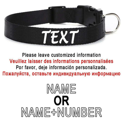 Personalized Nylon Dog ID Collar – Custom Name & Contact Info for Every Dog Breed - Très Elite