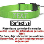 Green-Reflective