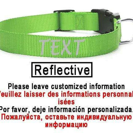 Personalized Nylon Dog ID Collar – Custom Name & Contact Info for Every Dog Breed - Très Elite