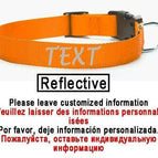 Orange-Reflective