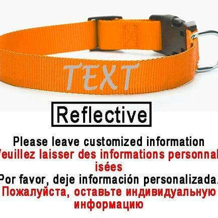Personalized Nylon Dog ID Collar – Custom Name & Contact Info for Every Dog Breed - Très Elite