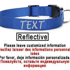 Dark Blue-Reflective