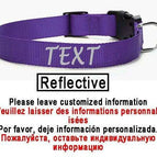 Purple-Reflective