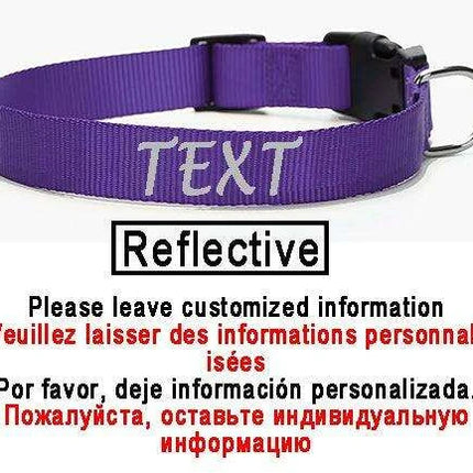Personalized Nylon Dog ID Collar – Custom Name & Contact Info for Every Dog Breed - Très Elite