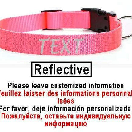 Personalized Nylon Dog ID Collar – Custom Name & Contact Info for Every Dog Breed - Très Elite