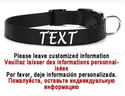 Personalized Nylon Dog ID Collar – Custom Name & Contact Info for Every Dog Breed - Très Elite
