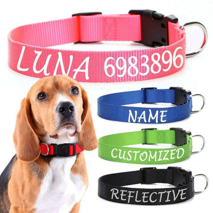 Personalized Nylon Dog ID Collar – Custom Name & Contact Info for Every Dog Breed - Très Elite
