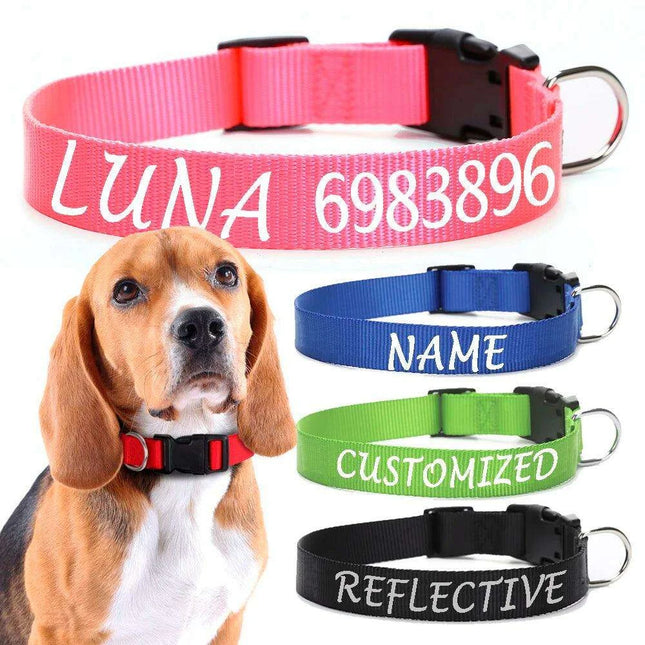 Personalized Nylon Dog ID Collar – Custom Name & Contact Info for Every Dog Breed - Très Elite