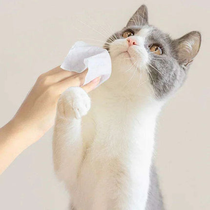 Pet Dental Care & Hygiene Wipes for Dogs and Cats - 80 Count - Très Elite