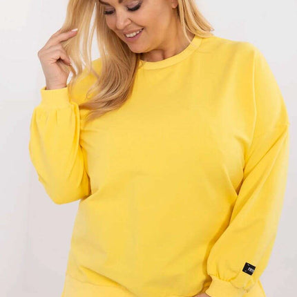 Plus size sweatshirt model 211730