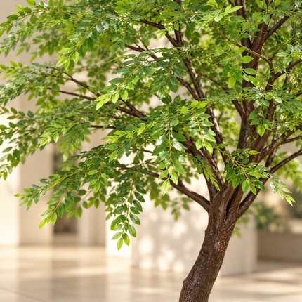 Artificial Green Elm-Style Tree with Floor Base – 150–200 cm Artificial Trees artificial-elm-tree-green-plants-hotel-mall-courtyard-olive-tree-large-fake-tree-floor-decoration-1 Home & Kitchen > Home Décor Products > Artificial Plants & Flowers > Artificial Trees