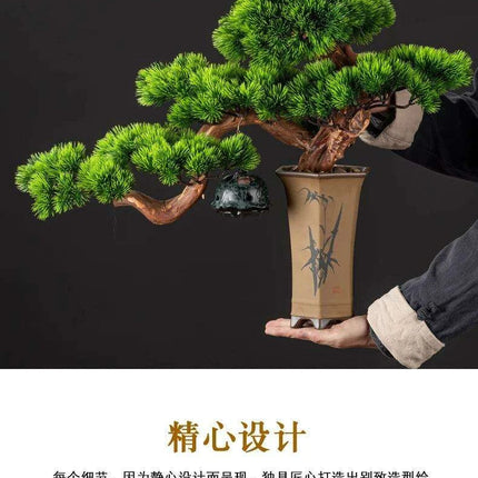 Prosperity Emblem Chinese Pine Bonsai - A Luxurious Symbol of Wealth and Abundance- Très Elite- Très Elite