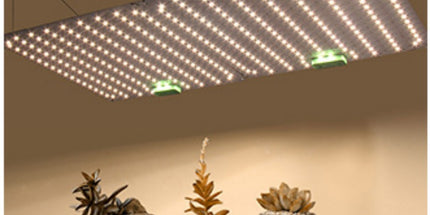 Quantum Plate Plant Fill Light Lamp 120W