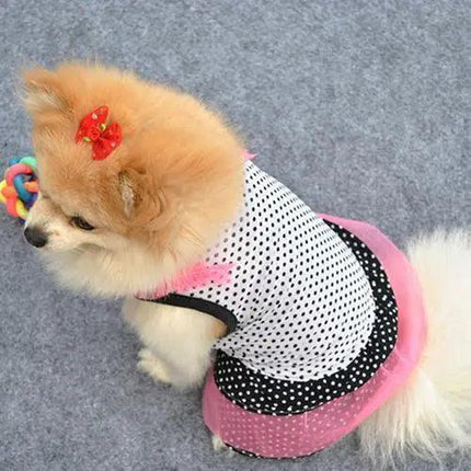 Royal Dotted Yarn Tutu Dress for Pets with Multilayered Charm