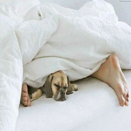 Ruffled White Washed Linen Duvet Cover