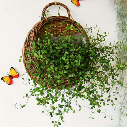 Rustic Blue Rattan Flower Wall Basket for Real or Faux Blooms - Très Elite