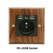 FR 2USB Socket