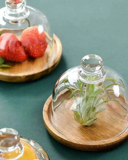 Elegant Acacia Wood Cake Stand with Glass Dome – Perfect for Showcasing Desserts at Home and Events