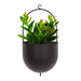 Elegant Iron Hanging Plant Holder - Chic Décor for Indoor and Outdoor Areas