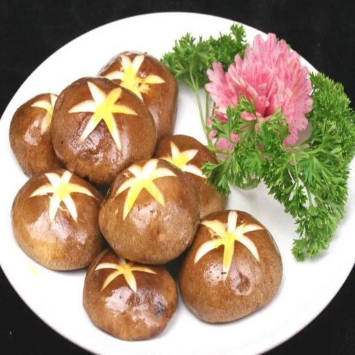 Charming Faux Mushroom Decor Collection - 6 Lifelike Models for Home and Photography Enhancement