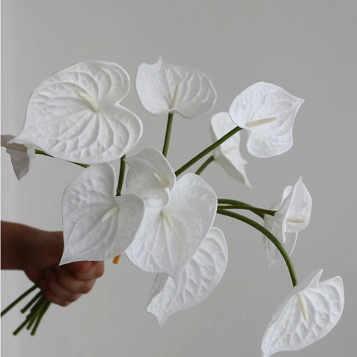 Bling Bling Case Luxury 4Pcs Real Touch White Anthurium Flowers
