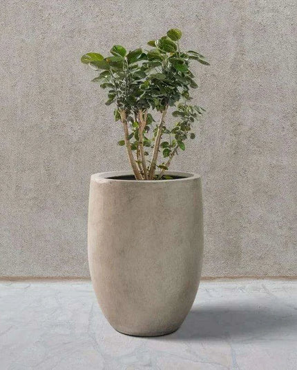 Sleek Contemporary Round Concrete Planter - Perfect for Indoor and Outdoor Use