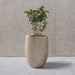 Sleek Contemporary Round Concrete Planter - Perfect for Indoor and Outdoor Use