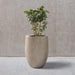 Weathered Concrete Tall Outdoor Planter with Modern Design and Drainage System