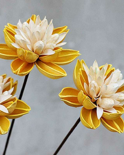 Artisanal Lotus Blossom Bouquet: A Rustic Touch for Your Home