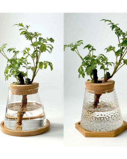 Chic Hydroponic Glass Vase - Modern Mini Planter for Stylish Home Decor