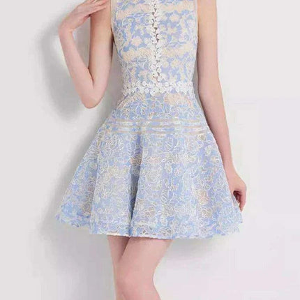 Sleeveless Lace Mini Dress with Hollow Out Embroidery for Women's Summer Events 2024