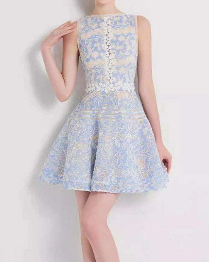 Sleeveless Lace Mini Dress with Hollow Out Embroidery for Women's Summer Events 2024
